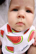 Watermelon Bib