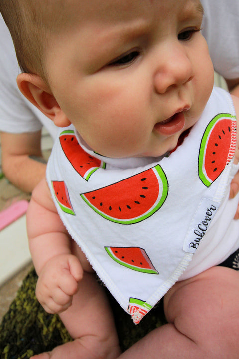 Watermelon Bib