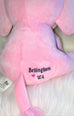 Personalized Plush Baby Elephant with Newborn Stats